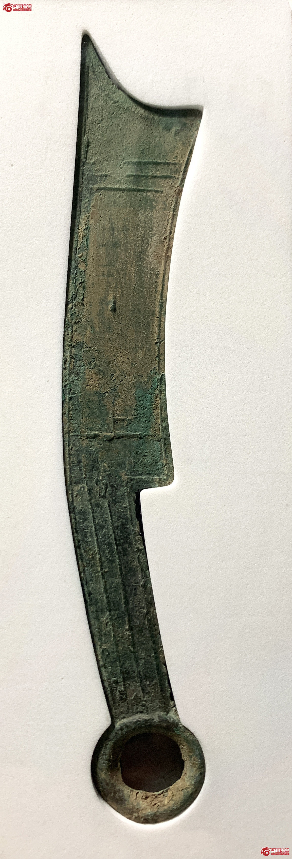 （公博评级美82（03））三字刀.齐法化背上【青岛公博】