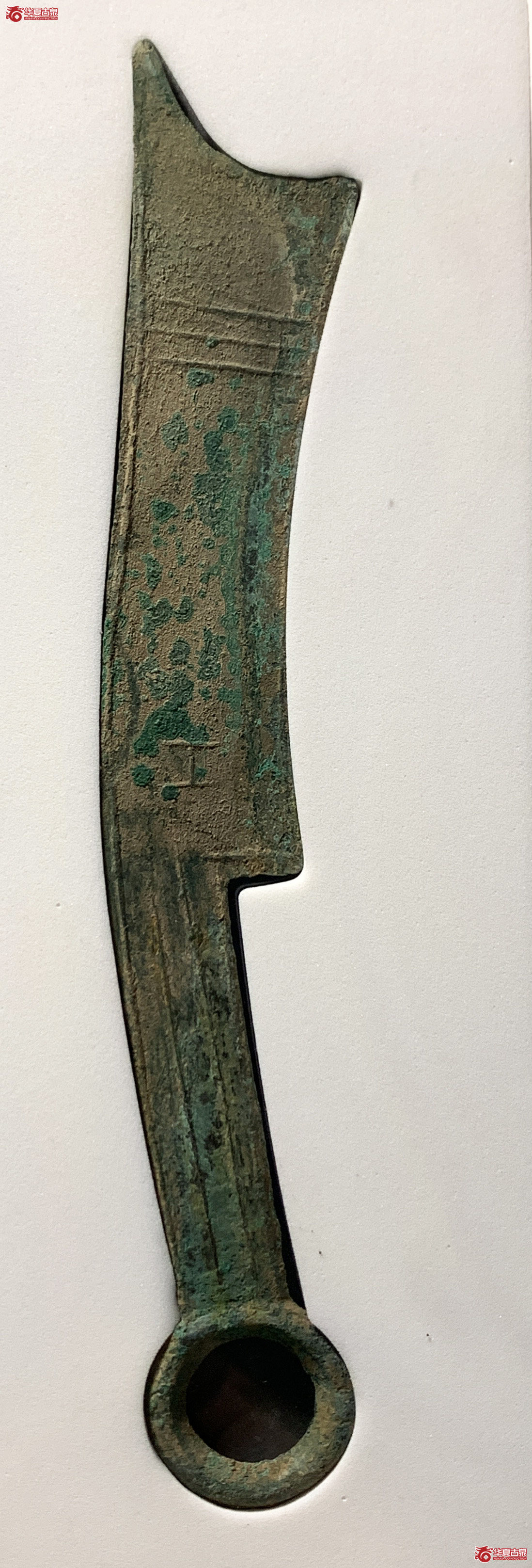 （公博评级美82（03））三字刀.齐法化背工【青岛公博】