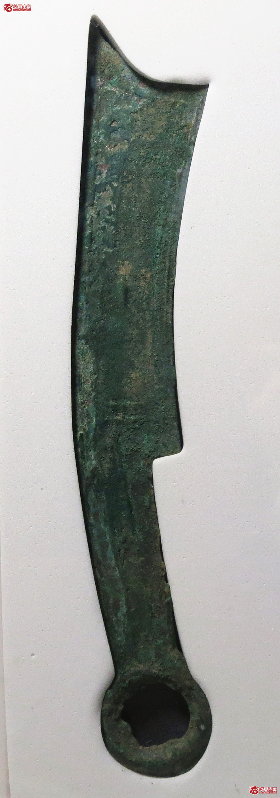 （公博评级美85）三字刀.齐法化背工【北京公博】