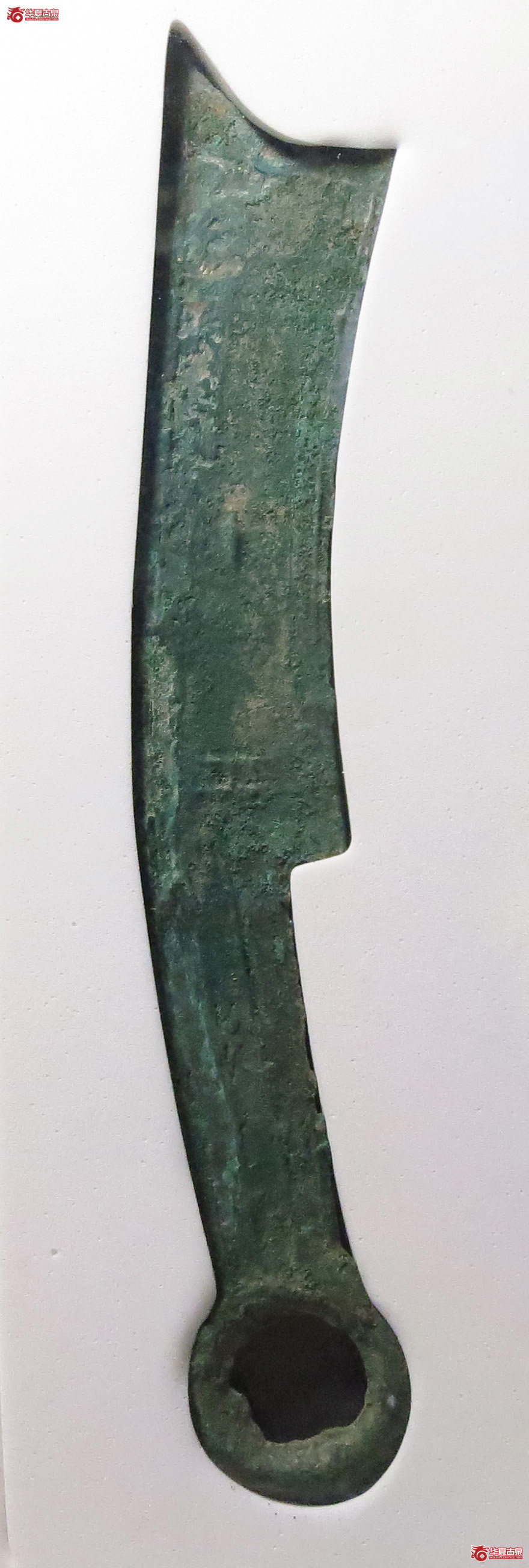 （公博评级美85）三字刀.齐法化背工【北京公博】