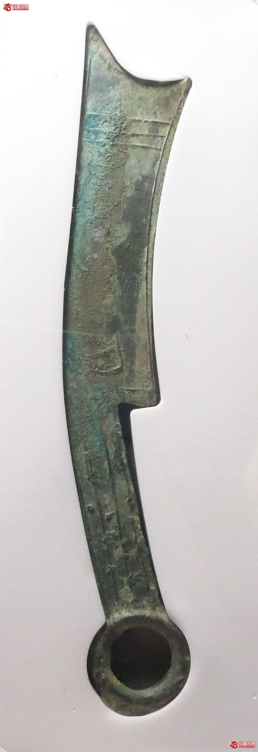 （公博评级美80（03））三字刀.齐法化背匕【青岛公博】