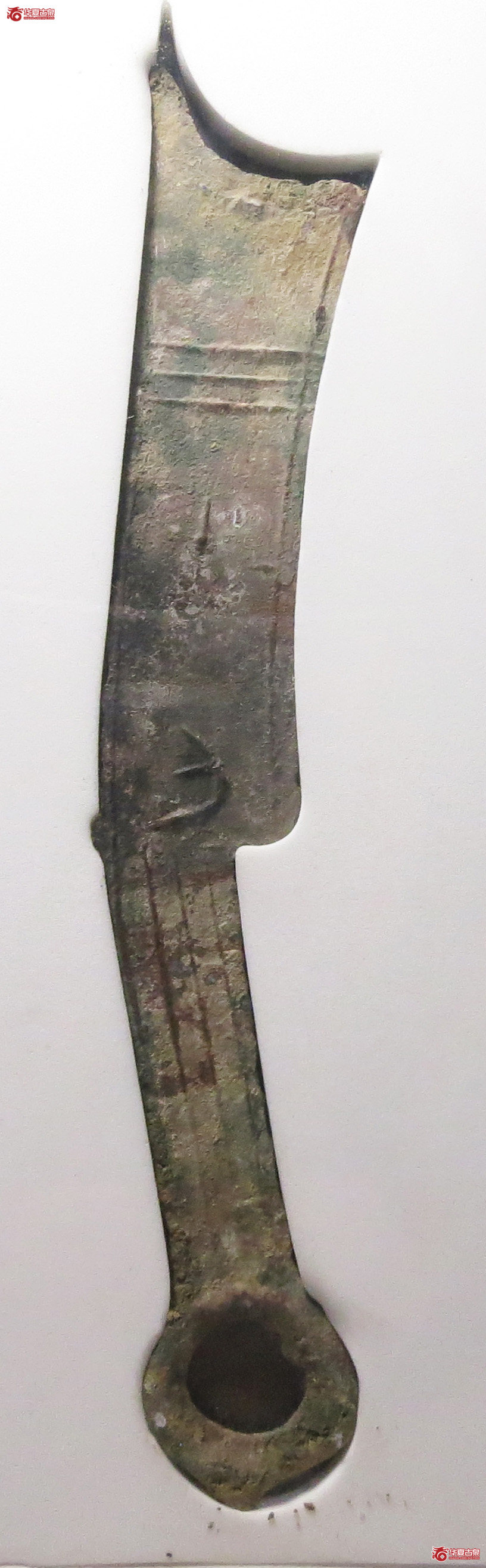 （公博评级美80（05））三字刀.齐法化背匕【青岛公博】