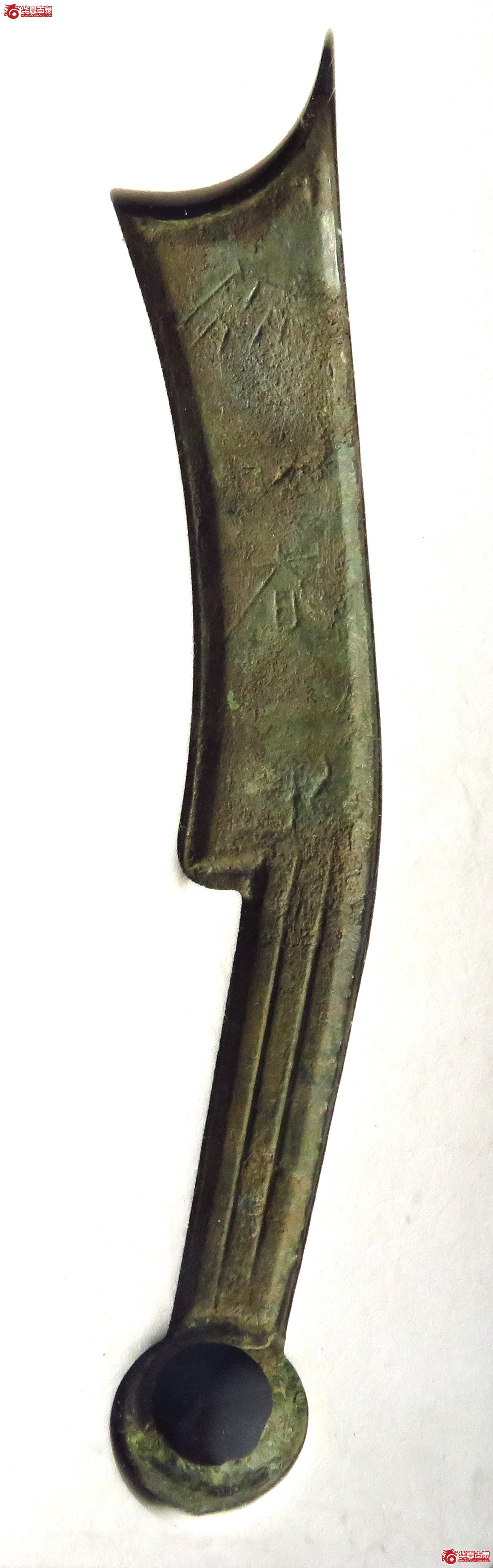 （公博评级美80（03））三字刀.齐法化背日【淄博公博】