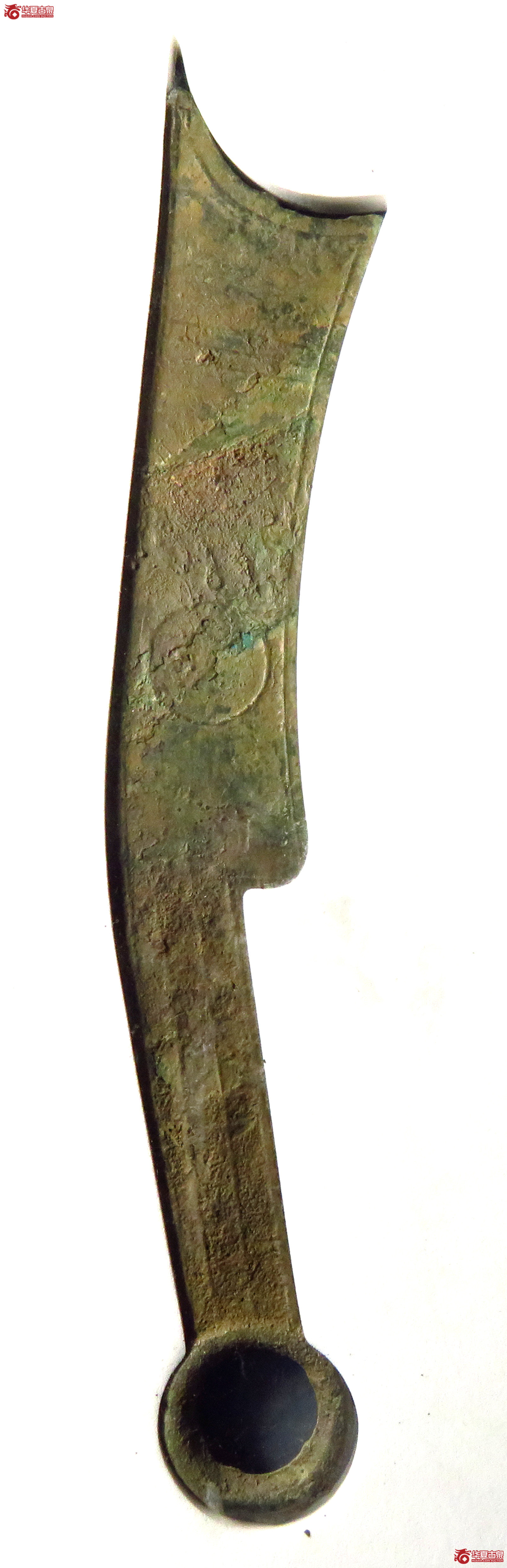 （公博评级美80（03））三字刀.齐法化背日【淄博公博】