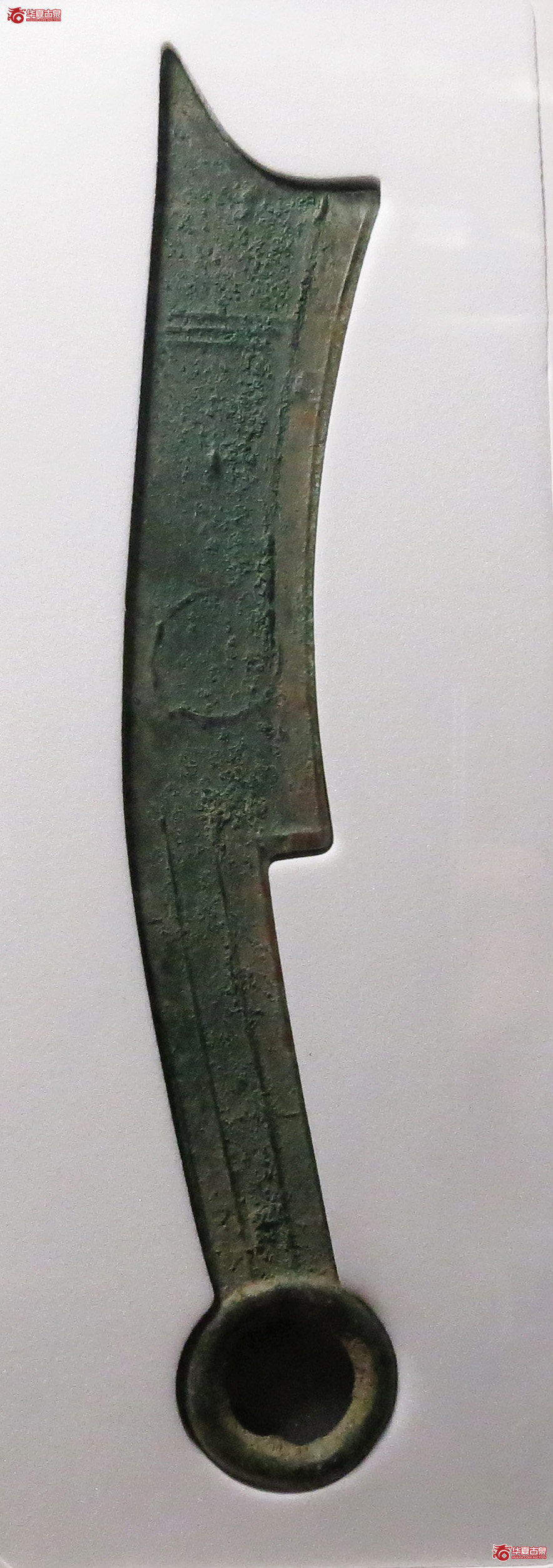 （公博评级美90）三字刀.齐法化背日【青岛公博】