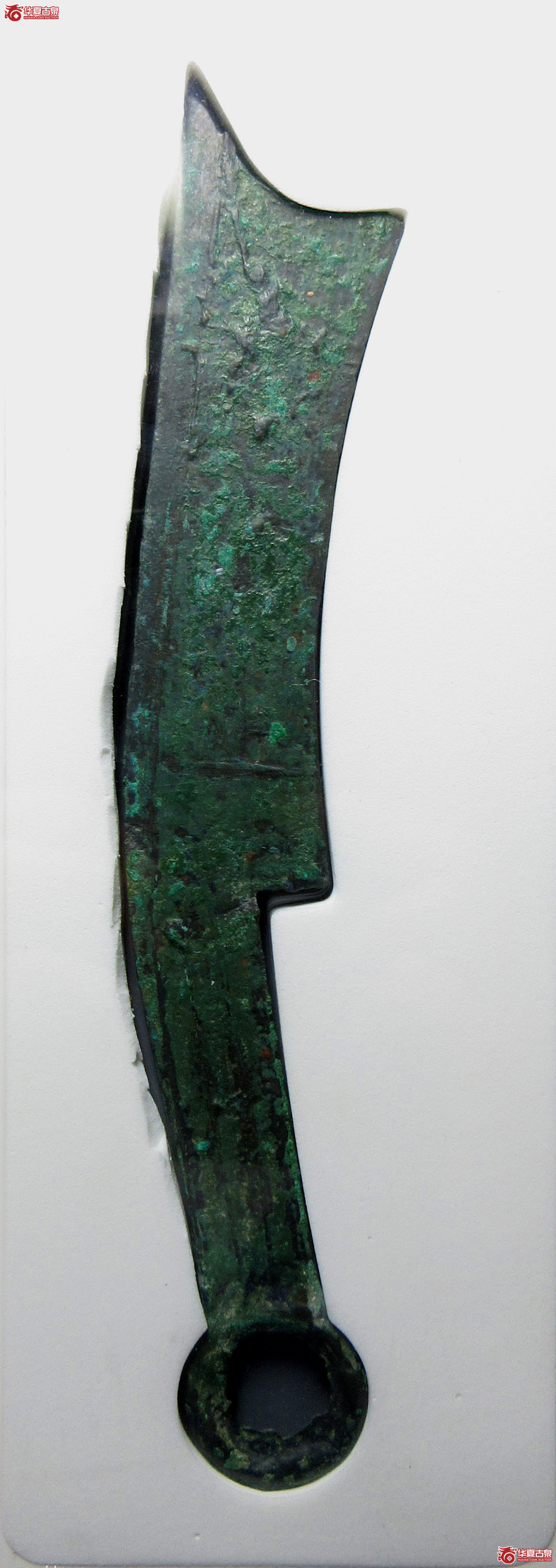 （公博评级美82）三字刀.齐法化背上【青岛公博】