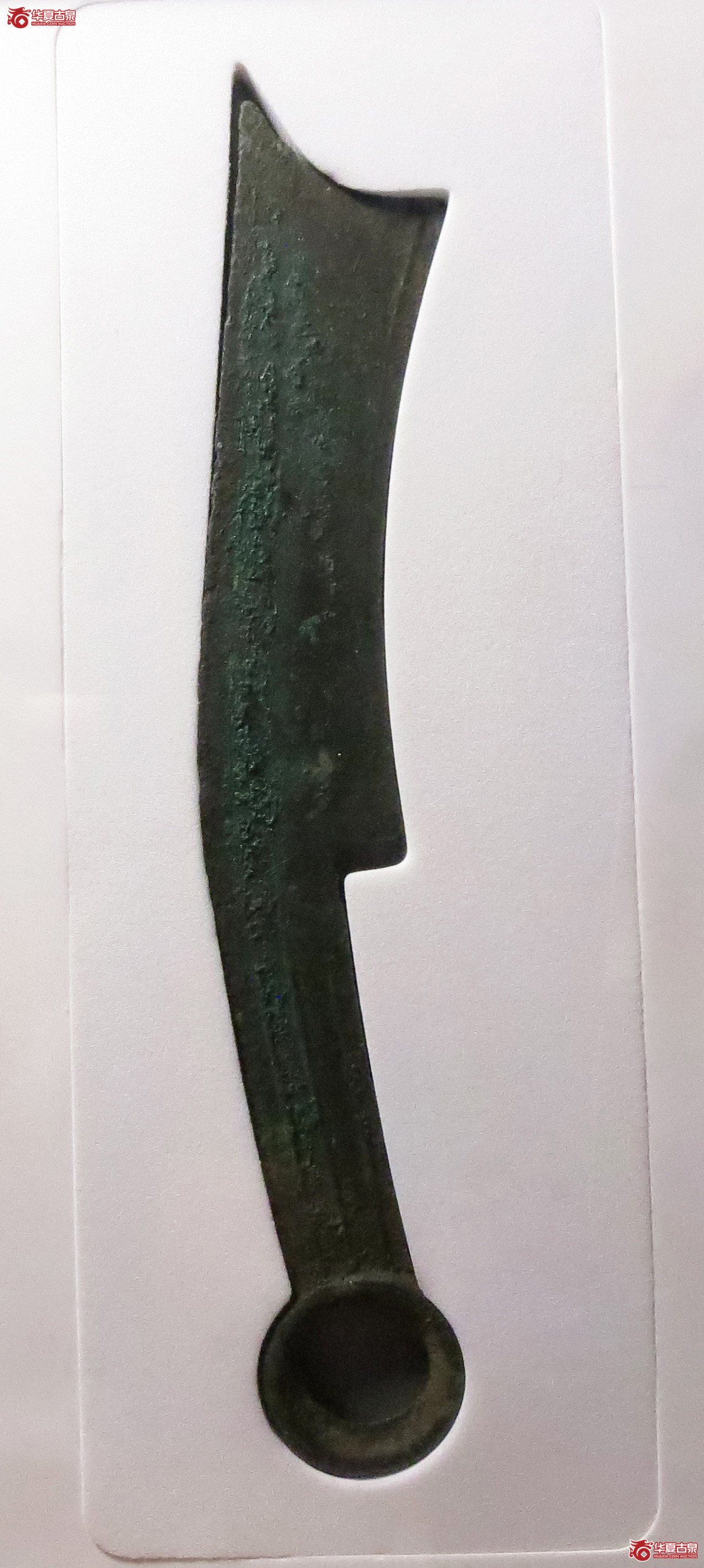 （公博评级美88）三字刀.齐法化背日【青岛公博】