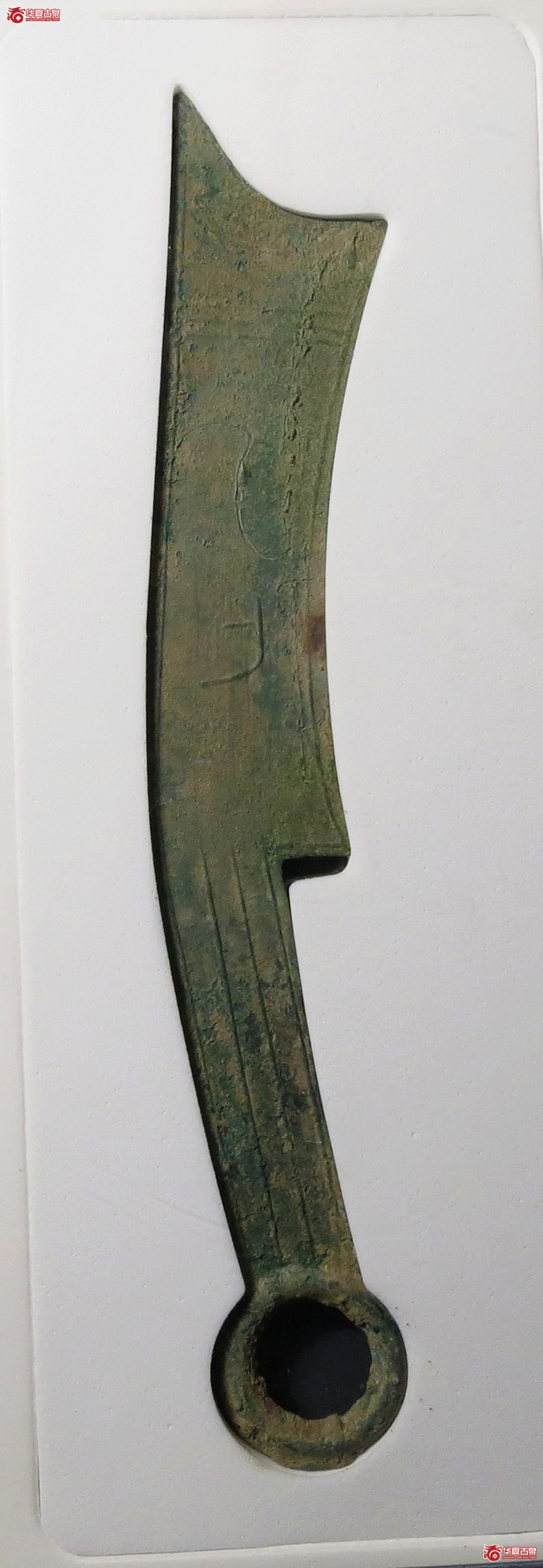 （公博评级真品）三字刀.齐法化背匕【青岛公博】
