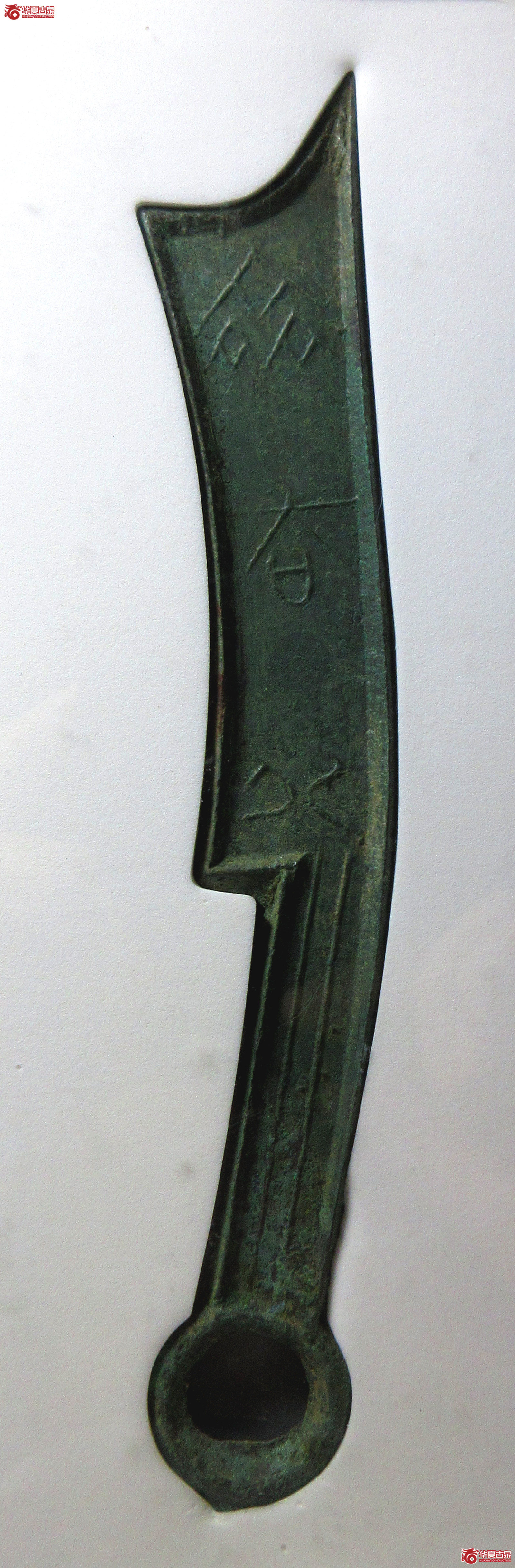 （公博评级美90）三字刀.齐法化背日【青岛授权单位】