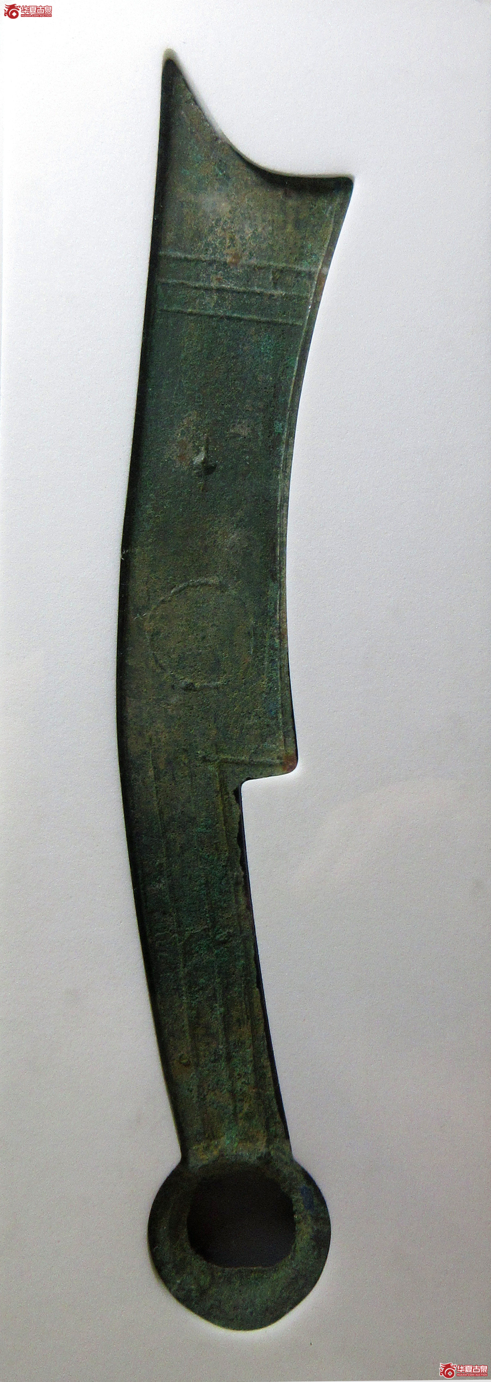 （公博评级美90）三字刀.齐法化背日【青岛授权单位】