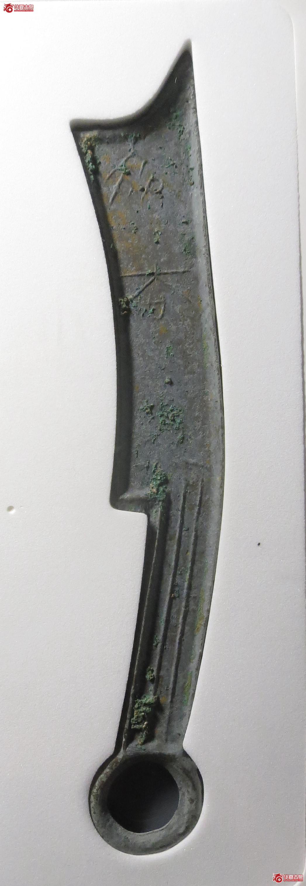 三字刀.齐法化背日【青岛授权单位】（公博评级美82）