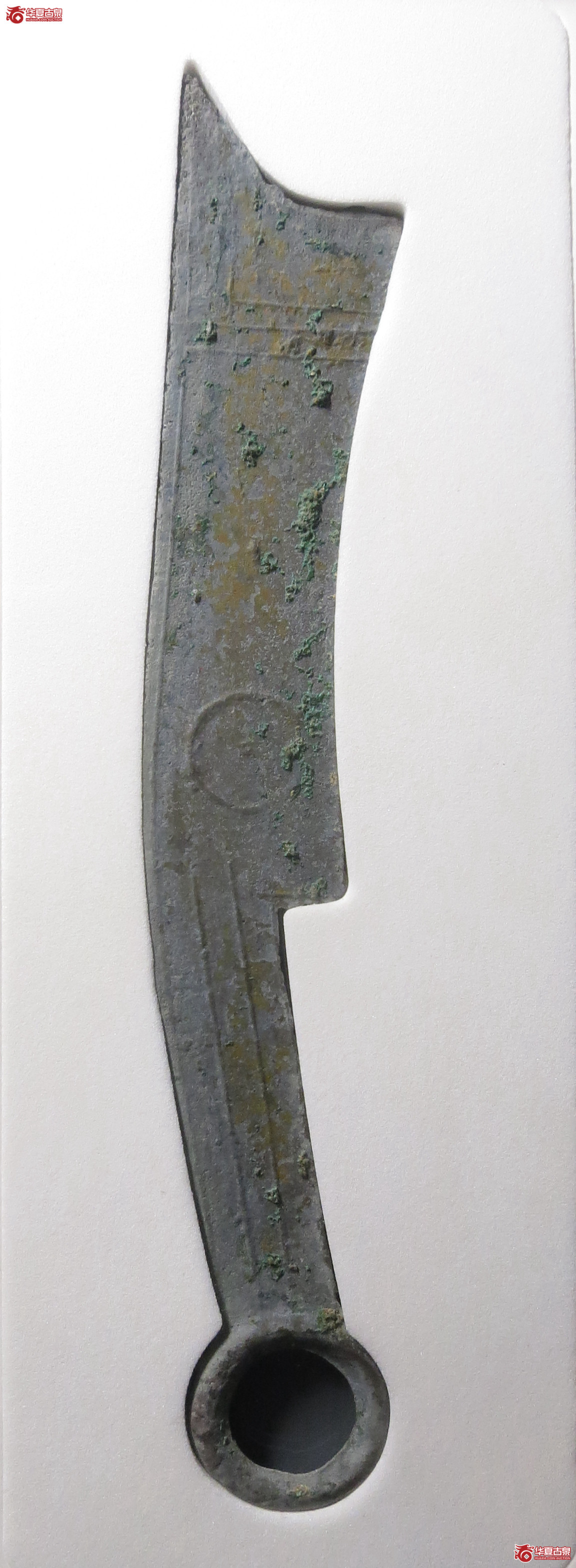 三字刀.齐法化背日【青岛授权单位】（公博评级美82）